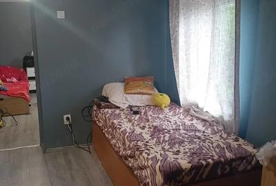 Casă cu 3 camere cu Teren 975 Mp în Balciu - 3