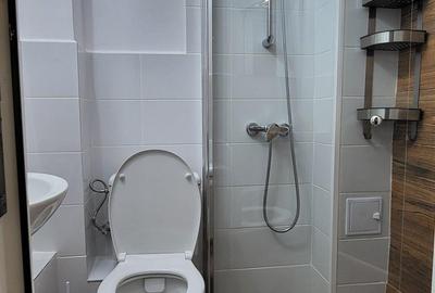 De inchiriat apartament cu 1 camera zona Centrala - 3