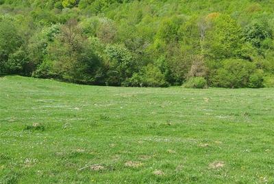 Teren de 8500 mp, în Părău - 7