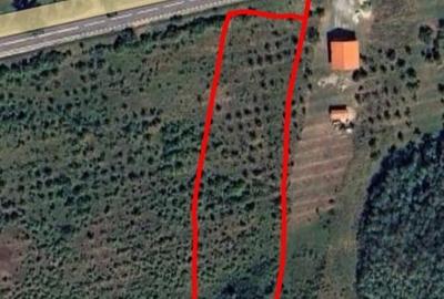 Teren extravilan de 5000 mp la soseaua principala Cocorova - 3