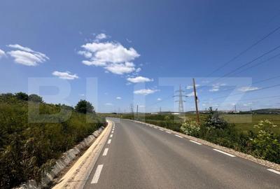 Teren intravilan, 5000mp, Uricani - 1