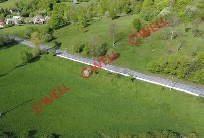 Teren extravilan de 6500 mp, în Zăbrătău - 3