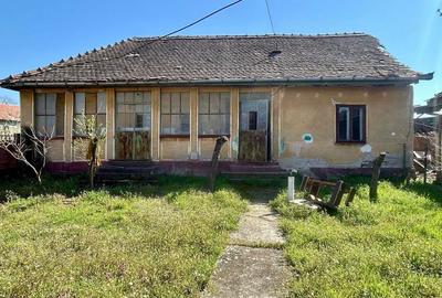 Casă cu 3 camere în Liebling - 1