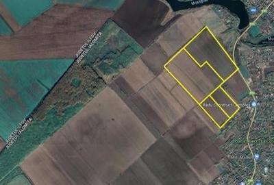 Teren agricol intravilan de 330000 mp, în Lilieci - 4
