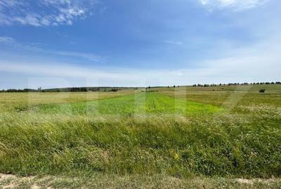 Teren de 8000 mp, în Central - 2