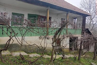 Casă cu Teren 500 Mp în Bala - 1