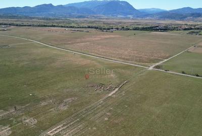 Teren de 14500 mp, în Sud - 9