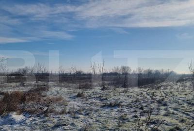 Teren cu livada Nuci- Oportunitate investitie- CioraniPh - 1