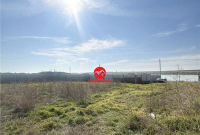 Teren de 500 mp, în Corbu - 9