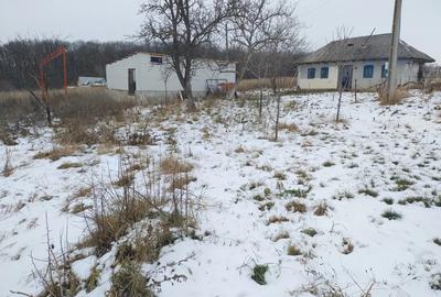 Hala pe Structura Metalica+ Casa batraneasca + 4800 m2 - 4
