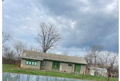Casa si teren Bordei Verde, Jud. Braila 3005384 - 1