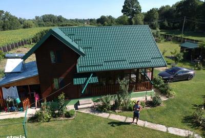 Casă cu 5 camere cu Teren 6000 Mp în Bârla - 5