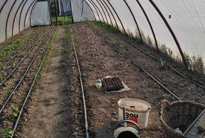 Casă cu 4 camere în Petid - 4