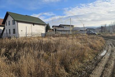 Teren Construcții intravilan de 1250 mp, în Bascov - 6