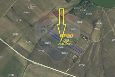 Teren extravilan de vanzare - Navodari - 5