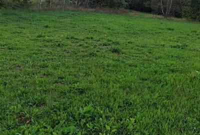 Spațiu comercial, în Mărcești - 2