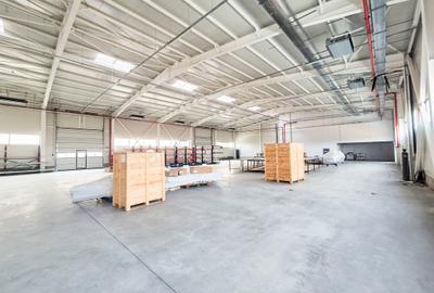 Spațiu industrial, în Periferie - 13