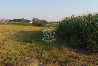 Teren agricol extravilan de 5500 mp, în Jelna - 4