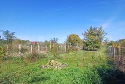 Casă cu 3 camere cu Teren 1400 Mp în Mihai Viteazu - 18