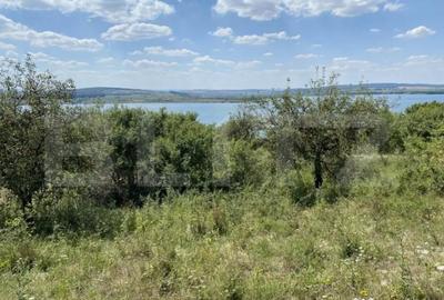 Teren de 3800 mp, în Recea - 3