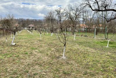 Casă cu 2 camere în Alexeni - 4