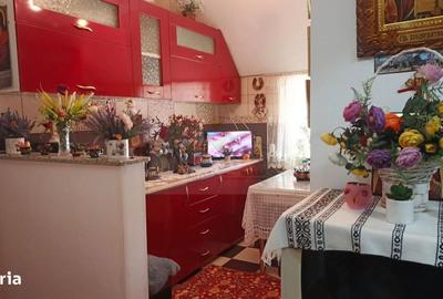 Garsonieră în Paltin