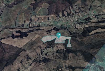 Teren agricol extravilan de 401200 mp, în Secaș - 3