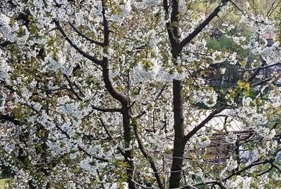 Casă cu 3 camere cu Teren 2800 Mp în Boțești - 5