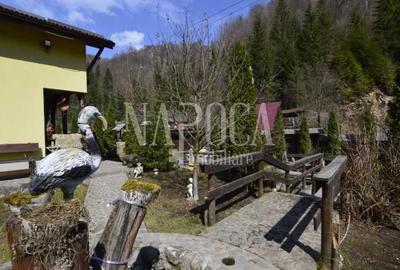 Casa 9 camere de vanzare in Sat Cerc, Valea Ierii - 4