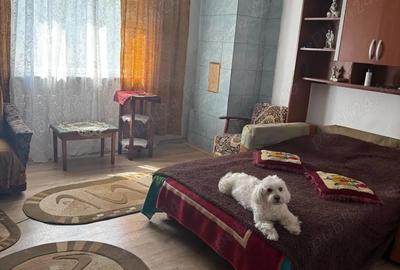 Casă cu 4 camere cu Teren 3200 Mp în Păltinișu - 5