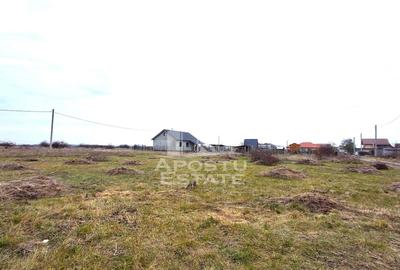 Teren intravilan 500mp Mandruloc - 6