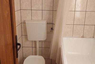 Apartament cu 2 camere semidecomandat în Regina Elisabeta - 5