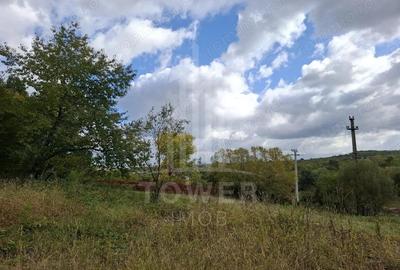 Teren de 509 mp, în Cisnădioara - 8