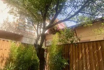 Inchiriere casa vila P+1 singur curte zona domeni Inchiriere casa vila P+1 singur curte zona domeni - 6