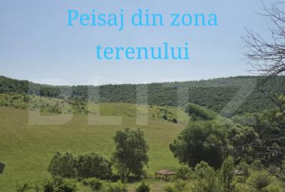 Teren intravilan construibil in Salicea - 3