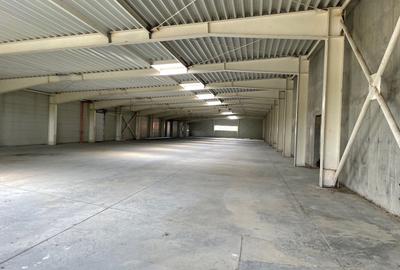 Hala de vanzare, situata in Sanandrei, judetul Timis - 11