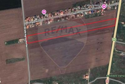 Teren de 19500 mp, în Limanu - 2