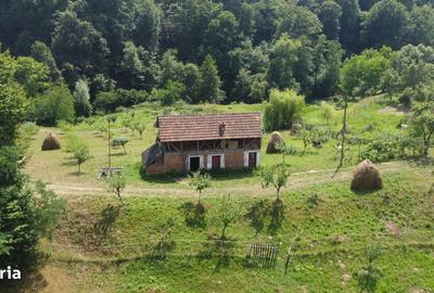 Teren de 6200 mp, în Cicănești