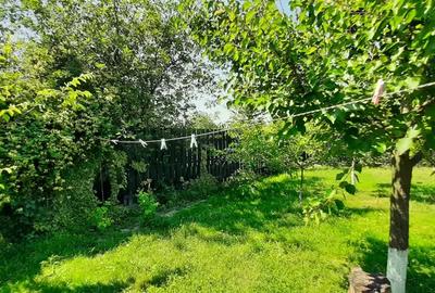 Casă cu 4 camere cu Teren 1101 Mp în Becicherecu Mic - 3