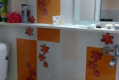 De inchiriat apartament cu o camera zona Cetatii - 2