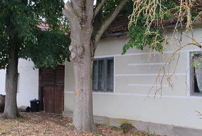 Casă cu Teren 3950 Mp în Bacău de Mijloc - 3