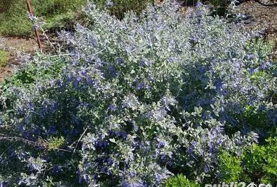 Apartament cu 2 camere decomandat în Central - 10