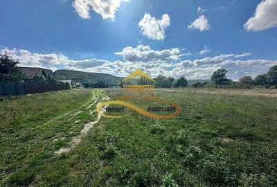 Teren intravilan de vanzare Bacau Calea Moldovei - 3