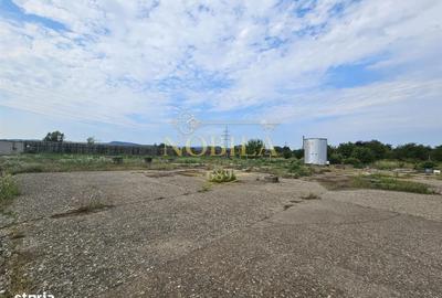 Teren de 10000 mp, în Ștefan cel Mare - 12