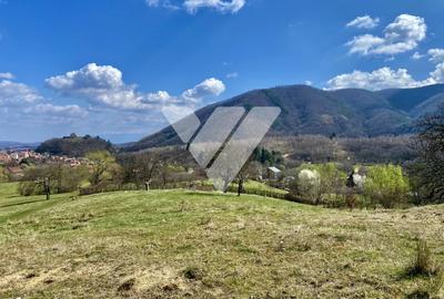 Teren Extravilan de 6630 mp - Cisnadioara - 3