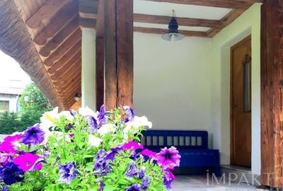 Casa traditionala de vis, aproape de Cluj-Napoca - 19