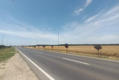 Teren Vanzare Intravilan Branesti - Investitie Zona Industriala Vis a Vis Makita - 29