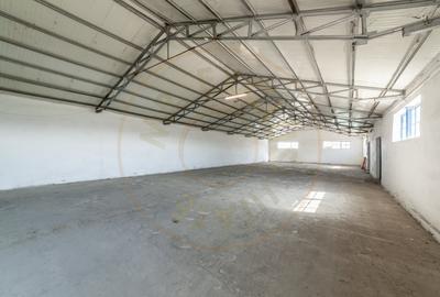 Spațiu industrial, de 1,294 mp, în Mărăcineni - 17