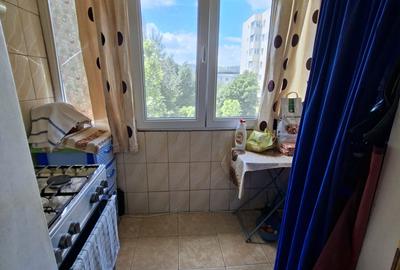 Colentina,Rau Fundeni,Maior Vasile Bacila - 11