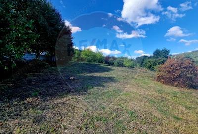 Teren de 1000 mp, în Central - 6